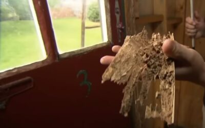 How Do Termites Enter My Home?